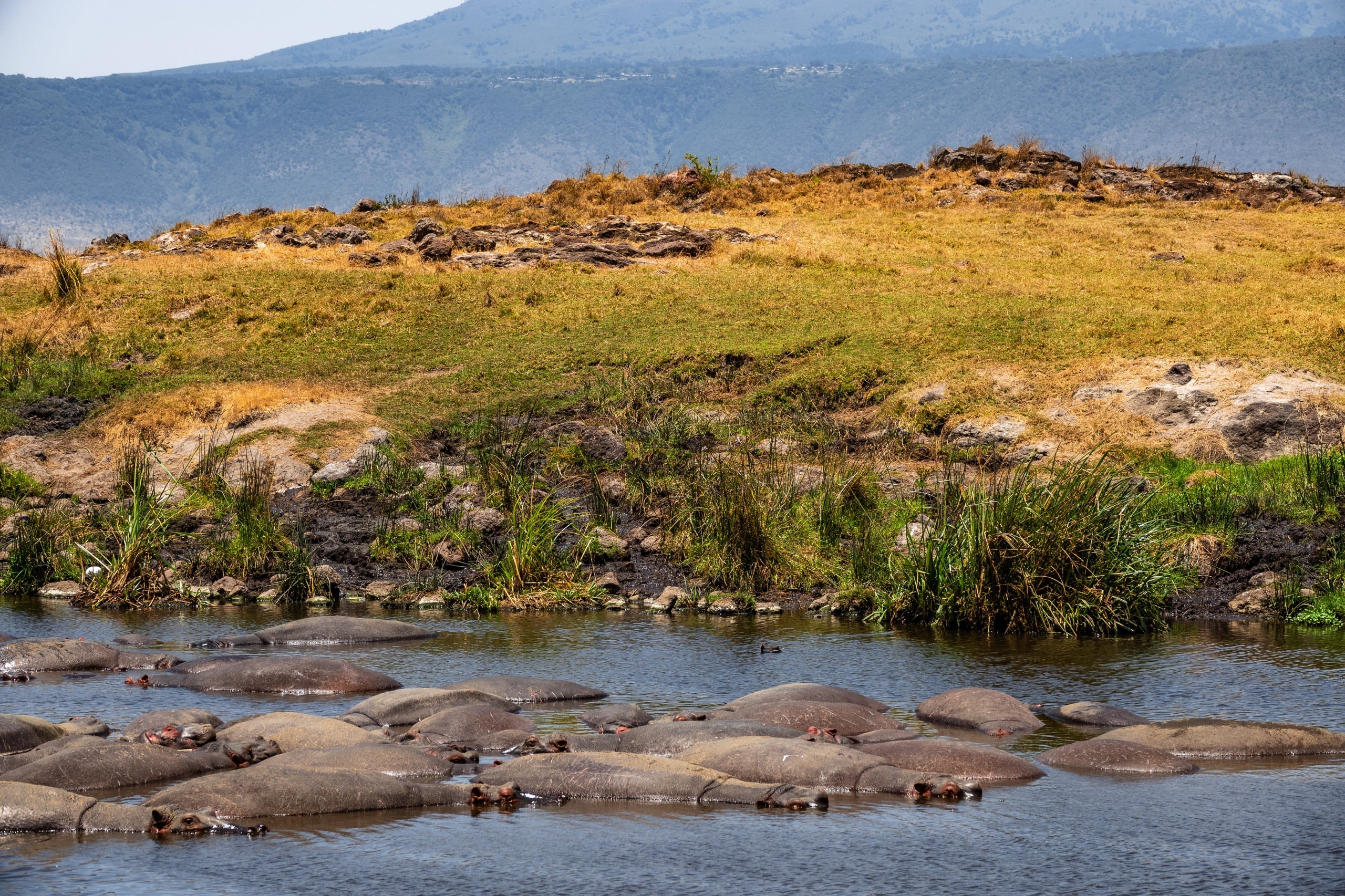 Ngorongoro Crater Safari